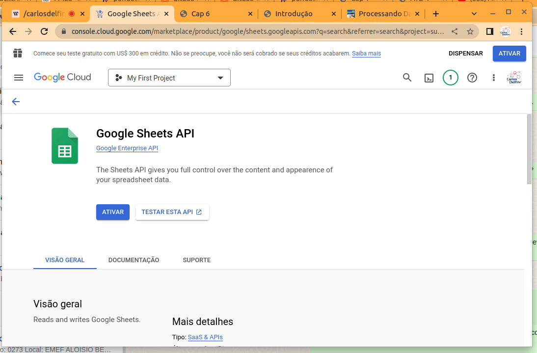 Google Sheet API - Ativar