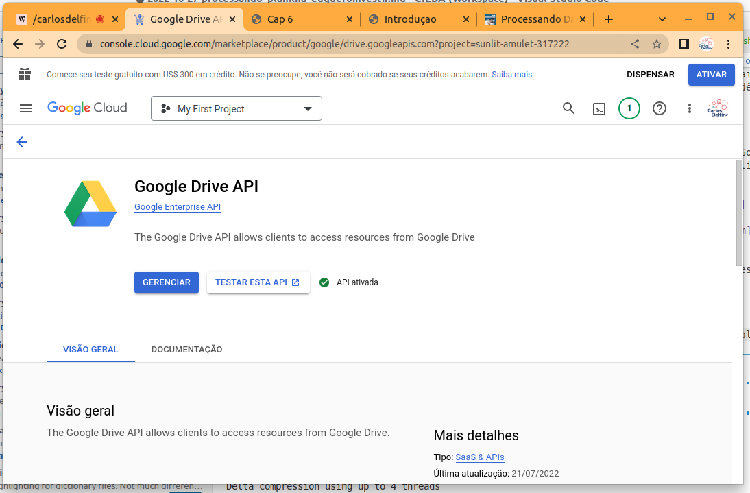 Google Sheet API - Ativado